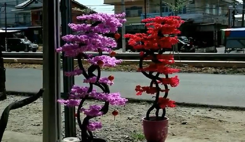 Pohon Mei Hua, Pernak-Pernik Imlek yang Diburu Warga Tionghoa Pontianak