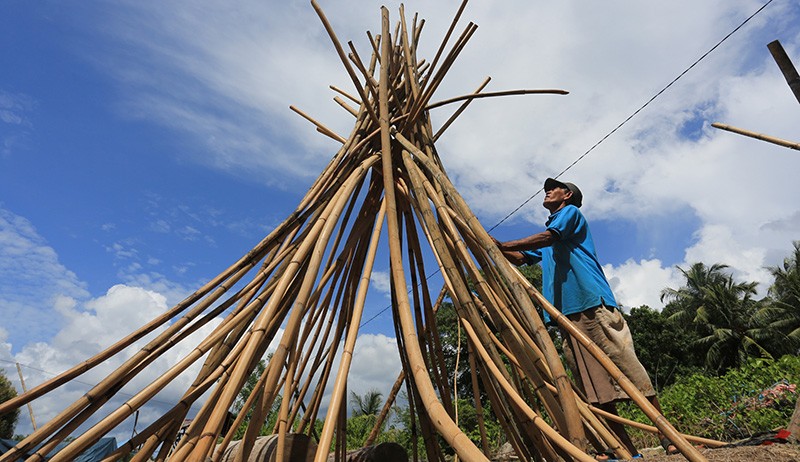 Rotan Mentah dari Hutan Tropis Simeulue Dijual Rp10.000 per Kilogram - Bagian 1