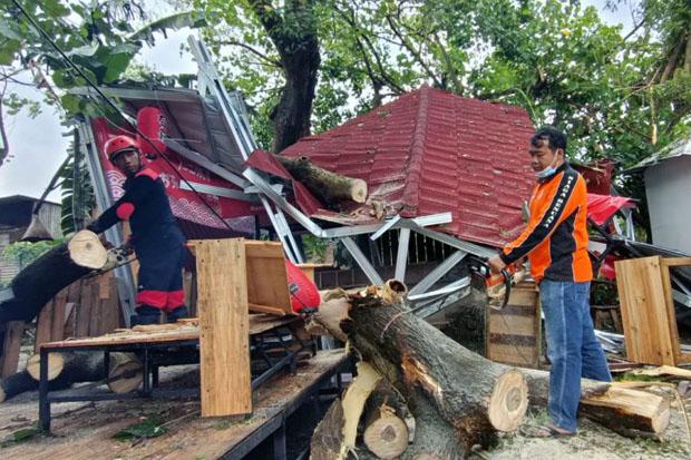 title Hujan Deras dan Angin Kencang Juga Terjang Bantul, Belasan Pohon Tumbang Hujan Deras dan Angin Kencang Juga Terjang Bantul, Belasan Pohon Tumbang