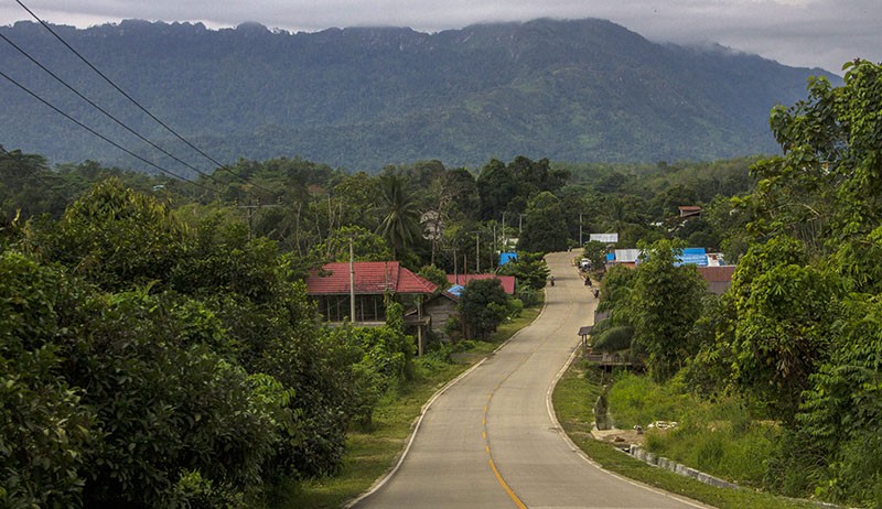 Penampakan Akses Jalan Menuju Ibu Kota Negara Nusantara Dikelilingi Hutan  - Bagian 1