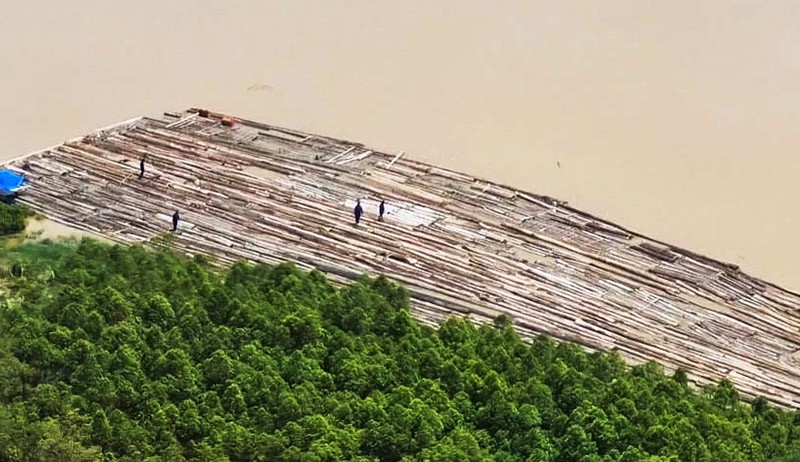 Penampakan Ribuan Kayu Ilegal Mengapung di Sungai Mahakam Kalimantan Timur - Bagian 1