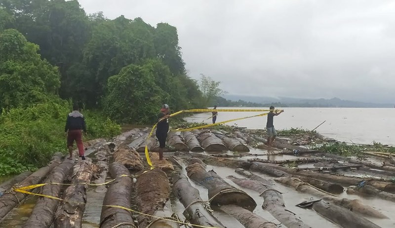 Penampakan Ribuan Kayu Ilegal Mengapung di Sungai Mahakam Kalimantan Timur - Bagian 3