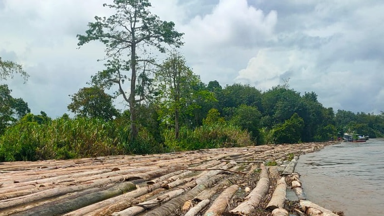 Ditpolairud Baharkam Polri Gagalkan Penyelundupan 1.396 Kayu Ilegal 