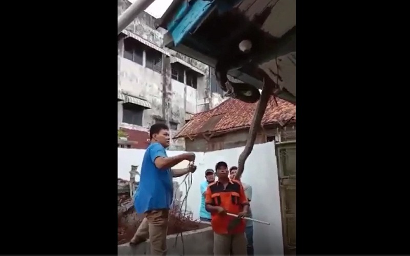 Menegangkan, Ini Penampakan Ular Sanca 6 Meter di Plafon Rumah Warga 