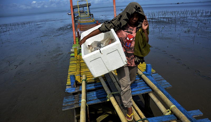 Jembatan Nelayan Rusak Membahayakan Warga di Makassar - Bagian 2