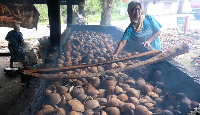 Permintaan Minyak Kelapa Tinggi, Harga Kopra Naik - Bagian 2