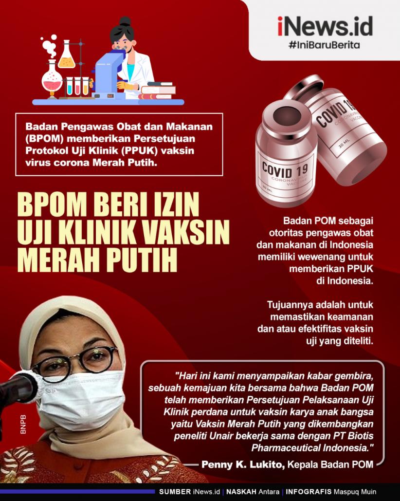 Infografis BPOM Beri Izin Uji Klinik Vaksin Merah Putih