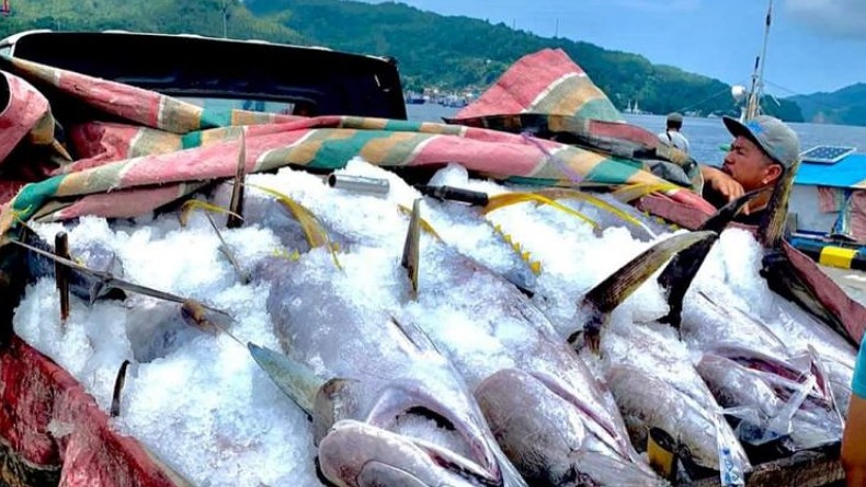 title BPS: Tingkat Kesejahteraan Nelayan Sulut Membaik BPS: Tingkat Kesejahteraan Nelayan Sulut Membaik