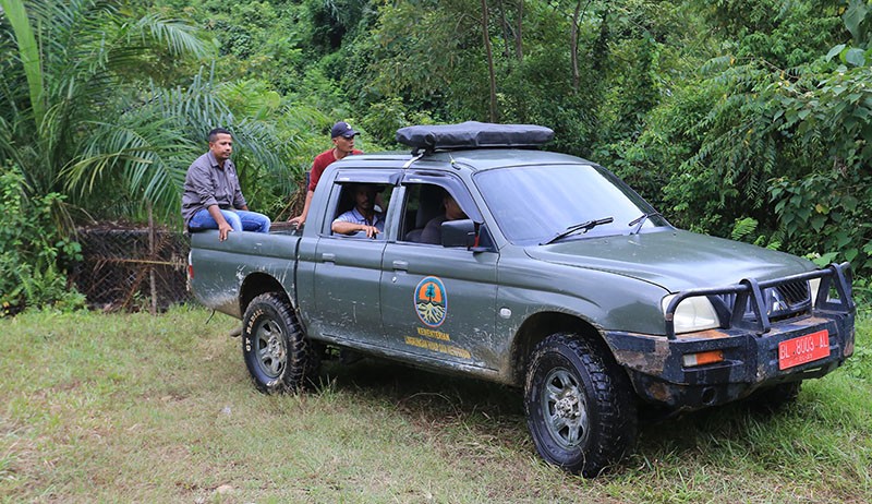 Cegah Konflik Harimau dan Warga, BKSDA Aceh Pasang Tiga Perangkap di Kebun Sawit - Bagian 3