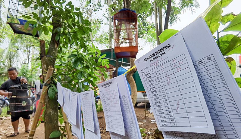 Serunya Melihat Lomba Kicau Burung Kenari - Bagian 4