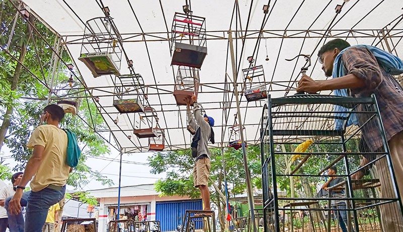 Serunya Melihat Lomba Kicau Burung Kenari - Bagian 2