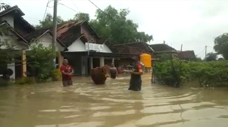 Banjir 1,5 Meter Rendam 3 Desa di Mojokerto, Lansia dan Hewan Ternak Diungsikan 