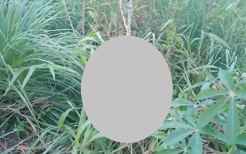 title Timika Gempar, Jasad Perempuan Ditemukan Tergeletak di Kebun Timika Gempar, Jasad Perempuan Ditemukan Tergeletak di Kebun