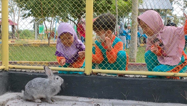 Alun-Alun Kota Koba Kian Cantik, Ada Penghuni Baru 20 Ekor Kelinci