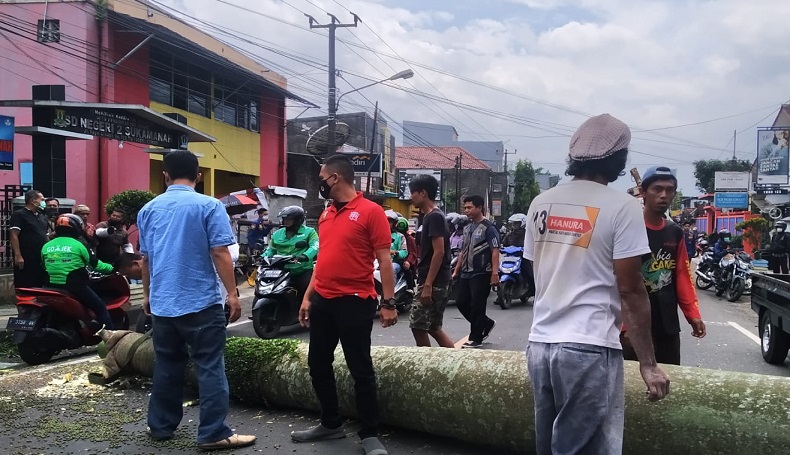 Pohon Palem di Sukabumi Tumbang Timpa 2 Pemotor, Korban Tak Sadarkan Diri