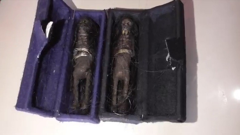 Temukan Sepasang Jenglot, Rumah Pria Ini Ramai Didatangi Warga