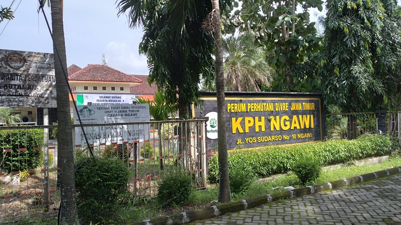 Rumah Produksi Mebel di Ngawi Digerebek Polisi, KPH Telusuri Asal Kayu Jati Ilegal 