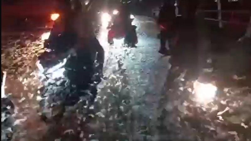 Jutaan Serangga Klaper Penuhi Jembatan Mojokerto-Surabaya, 7 Pemotor Jatuh Tergelincir