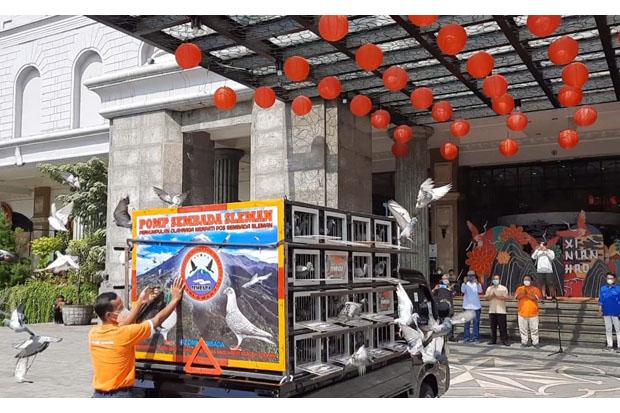   Lambangkan Kesetiaan, Merpati Pos Bisa Kembali meski Dilepas Ribuan Kilometer