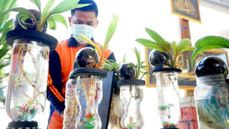 Kreatif, WBP Lapas Gorontalo Produksi Bonsai Tempurung Kelapa 