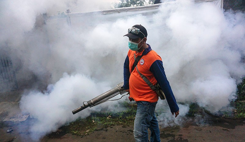 Pengasapan Cegah Penyebaran Nyamuk Aedes Aegypti Penyebab DBD - Bagian 2