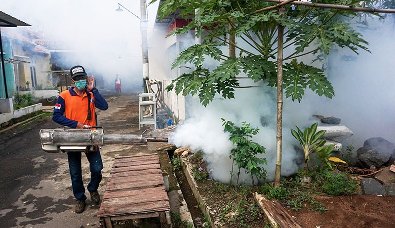 Pengasapan Cegah Penyebaran Nyamuk Aedes Aegypti Penyebab DBD - Bagian 1