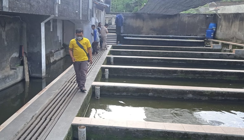 Dituding Gunakan Bangkai Ayam, Pemilik Peternakan Lele di Garut Tak Terima