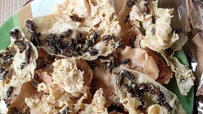 Rempeyek Jangkrik Cemilan Gurih Kaya Protein, Ini Komposisinya