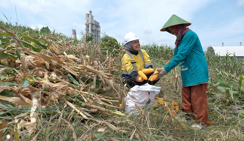 Semen Gresik Fasilitasi 361 Petani Sanggem Garap Lahan Seluas 119,25 Hektare di Rembang - Bagian 1