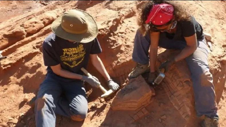 Wow, Peneliti Temukan Fosil Dinosaurus Tanpa Lengan Mirip T-Rex