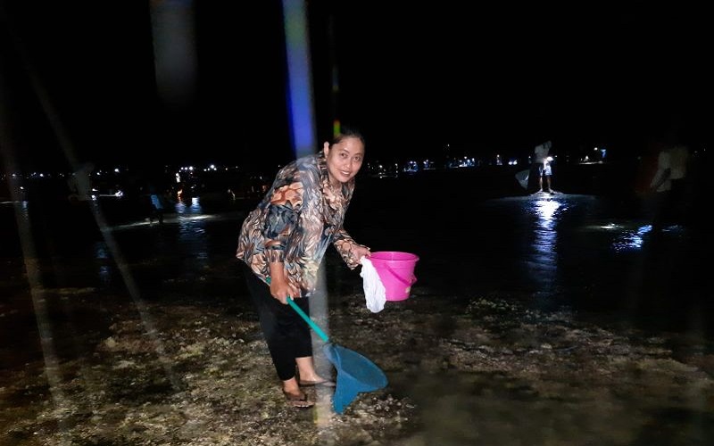 Perayaan Bau Nyale, Warga Menginap di Pantai Seger Mandalika Berburu Cacing Laut