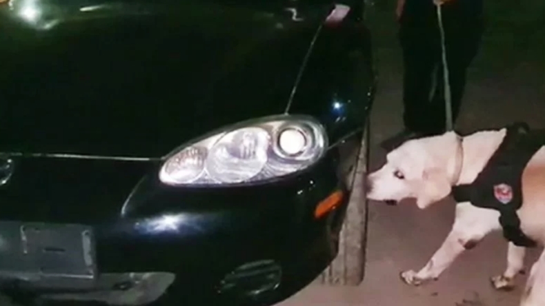 title Kendarai Truk sambil Teler Sabu, 2 Sopir di Aceh Ditangkap Anjing Pelacak Kendarai Truk sambil Teler Sabu, 2 Sopir di Aceh Ditangkap Anjing Pelacak