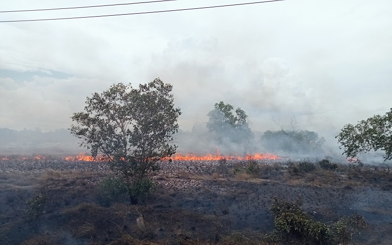 Kebakaran di Natuna, Sekitar 30 Hektare Lahan Habis Dilahap Api