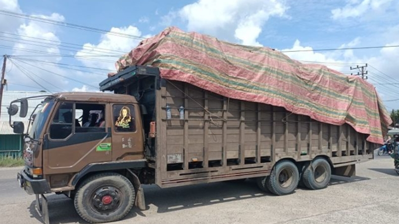Mau Viralkan Polisi saat Ditilang, Sopir Truk Ini Malah Ditangkap
