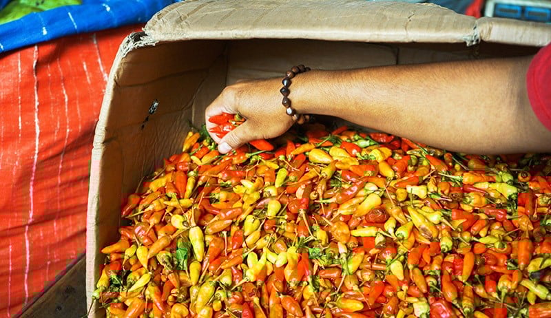 Harga Cabai Merah Naik Lagi, Kini Rp60.000 per Kilogram - Bagian 3