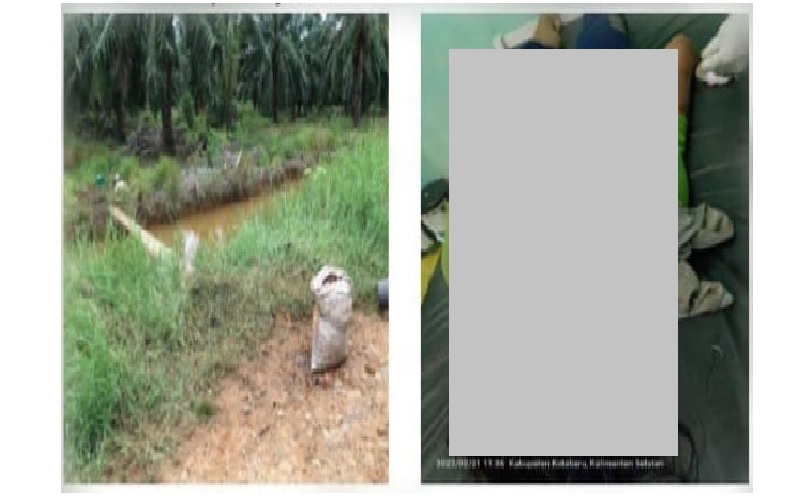 Heboh Karyawati Kebun Sawit Tewas Digigit dan Diseret Buaya saat Cuci Tangan