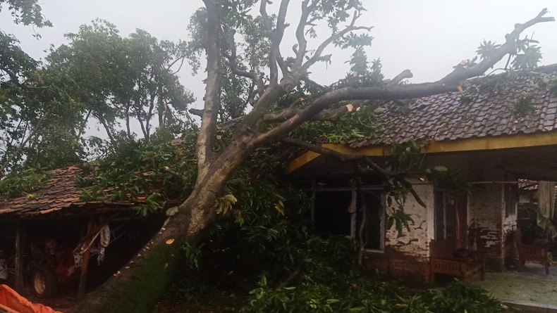 Diterjang Hujan Deras dan Angin Kencang Puluhan Rumah Warga Indramayu Rusak