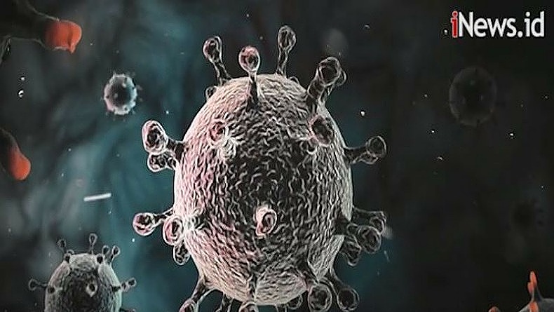 Pasien Positif Covid-19 di Kabupaten Sangihe Bertambah 64 Orang  