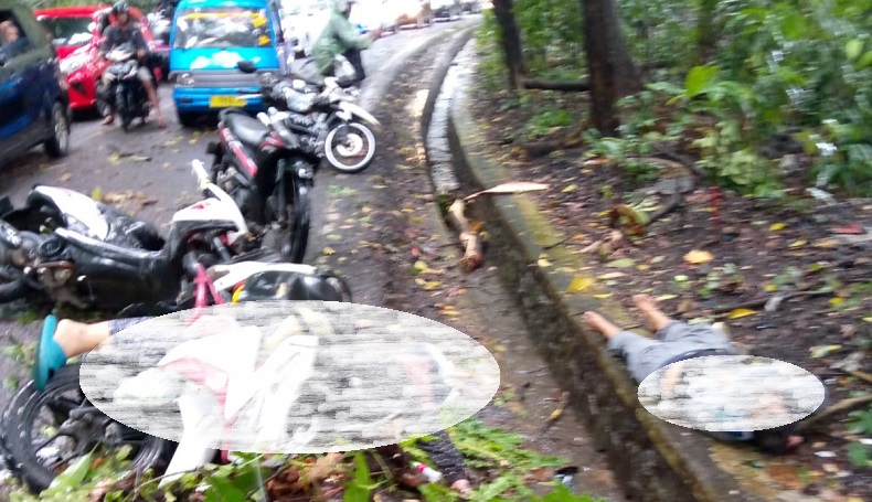 Pohon Tumbang Timpa Pemotor di Palabuhanratu Sukabumi, 2 Tewas 2 Luka-luka