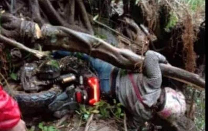Tragis, 2 Warga Jepara Terluka akibat Tertimpa Pohon Tumbang di Kudus