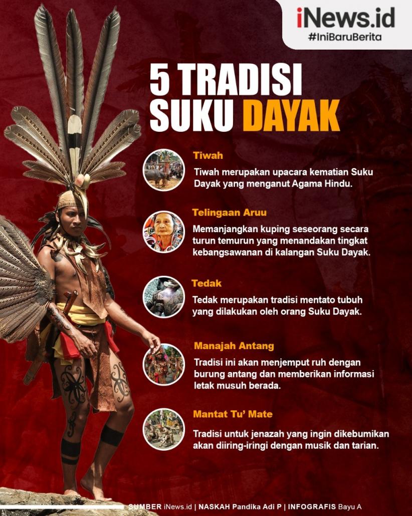 Infografis Tradisi Suku Dayak Warisan Nenek Moyang 
