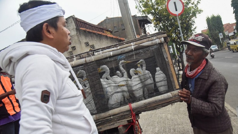 Dedi Mulyadi Borong Semua Burung Kuntul dari Pedagang, Ini Alasannya