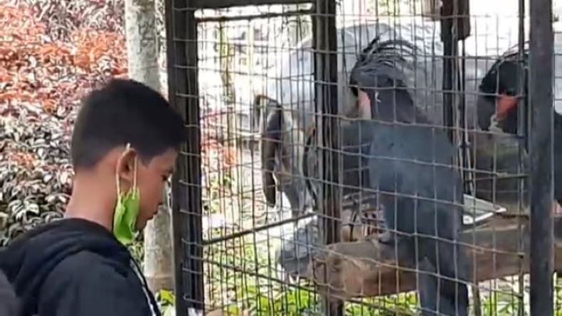 Libur Panjang, Objek Wisata di Purbalingga Ini Dipadati Wisatawan 