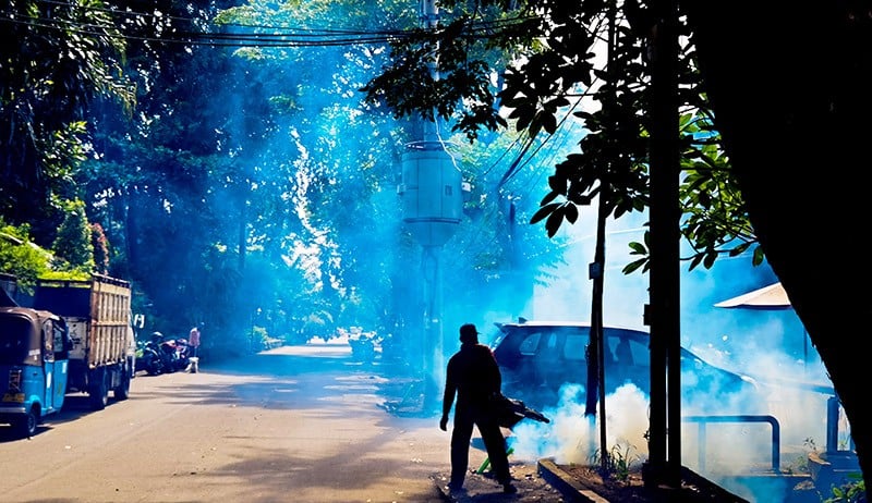 Kasus DBD Meningkat Masyarakat Diimbau Waspada - Bagian 3