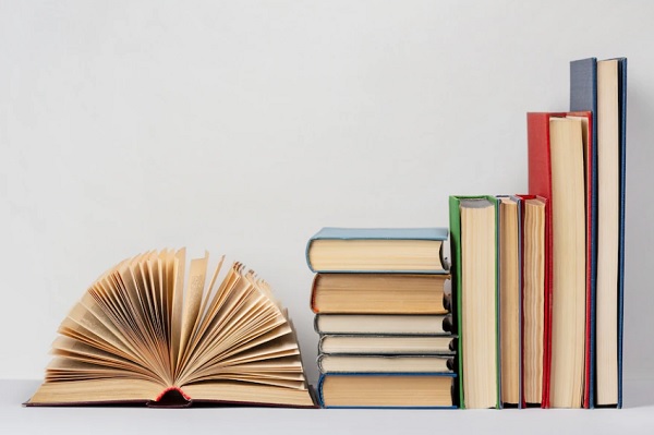 14 Bahasa Daerah Sulawesi Selatan, Bahasa Bugis Paling Banyak Dialek