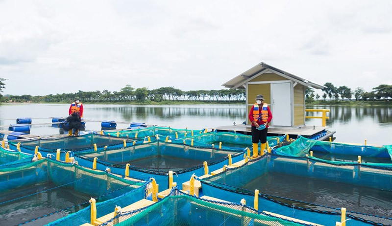 SIG Bukukan Pendapatan Tahun 2021 Sebesar Rp34,96 Triliun - Bagian 3