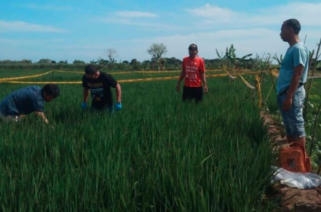 Keji! Perempuan Paruh Baya di Tegal Jadi Korban Mutilasi, Polisi Periksa 9 Saksi