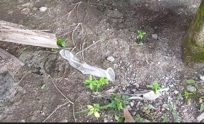 Viral Kondom Bekas Pakai Berserakan di GOR Lompoe, Diduga Jadi Lokasi Pesta Seks