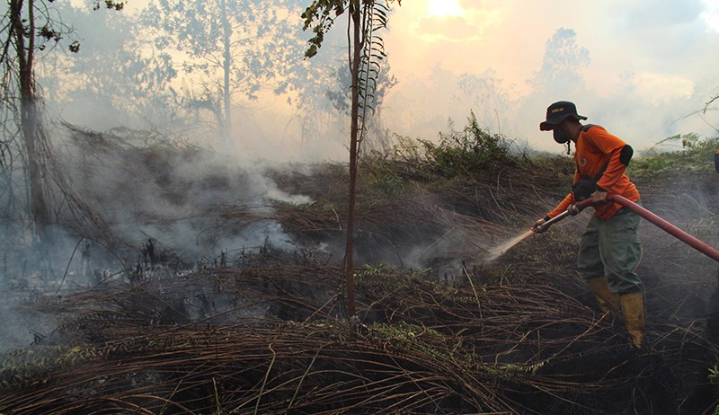 Titik Api Terdeteksi di Aceh, Ini Wilayah Penyebarannya