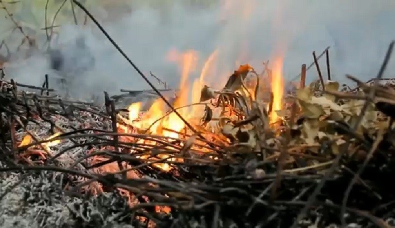 title Kebakaran Lahan di Pontianak Tenggara, Polisi Duga Sengaja Dibakar Kebakaran Lahan di Pontianak Tenggara, Polisi Duga Sengaja Dibakar